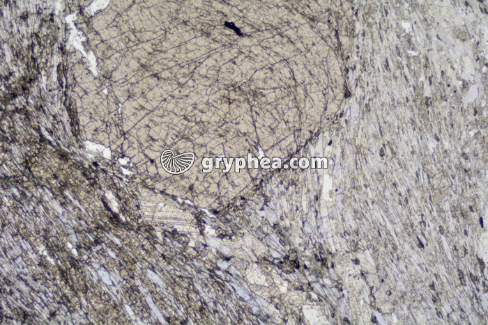 Schiste à grenats et glaucophane LPNA x6,3 - gryphea.com